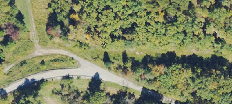 Big Buzzard Rd