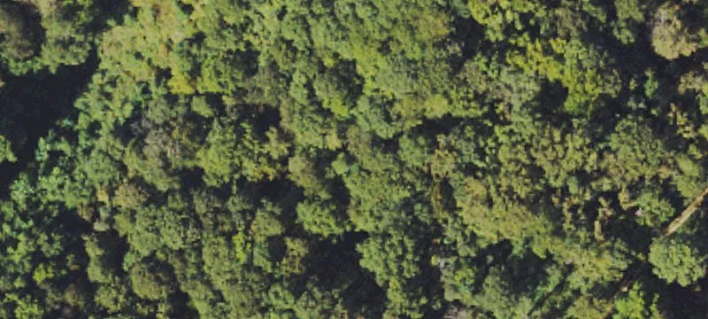 Raysal, WV 24879
