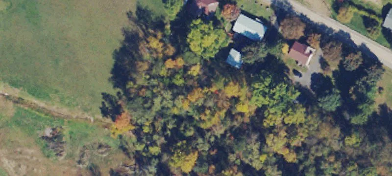 Shamrock Dr
