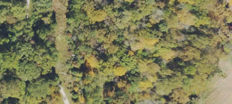 Destiny Rd