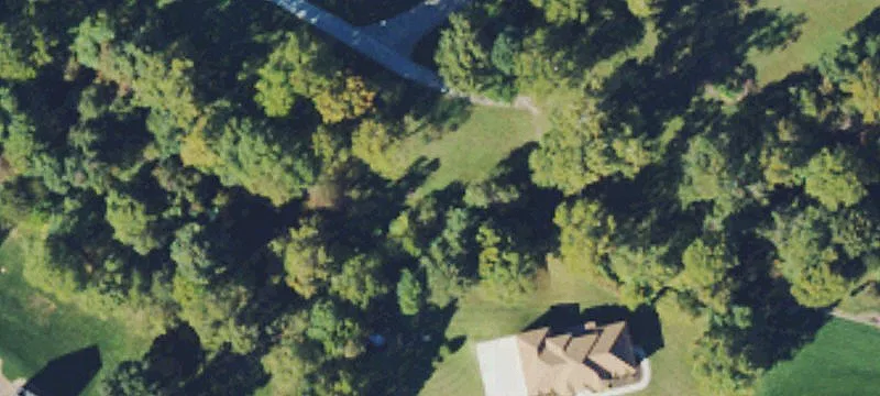 Henderson Woods