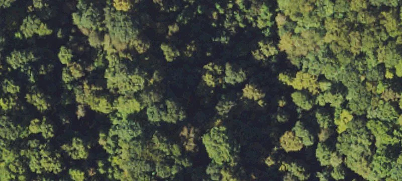 Raysal, WV 24879