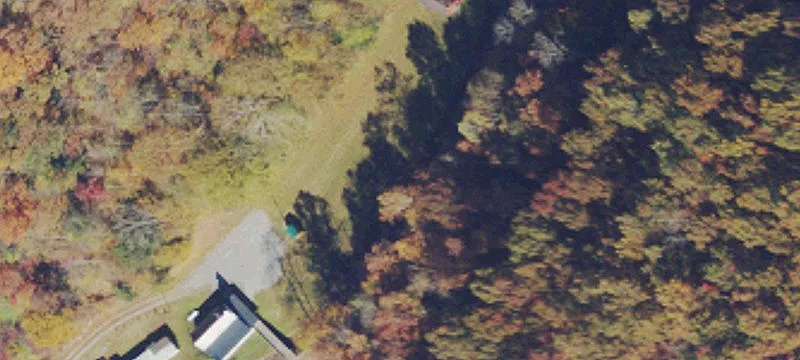 Ivydale, WV 25113