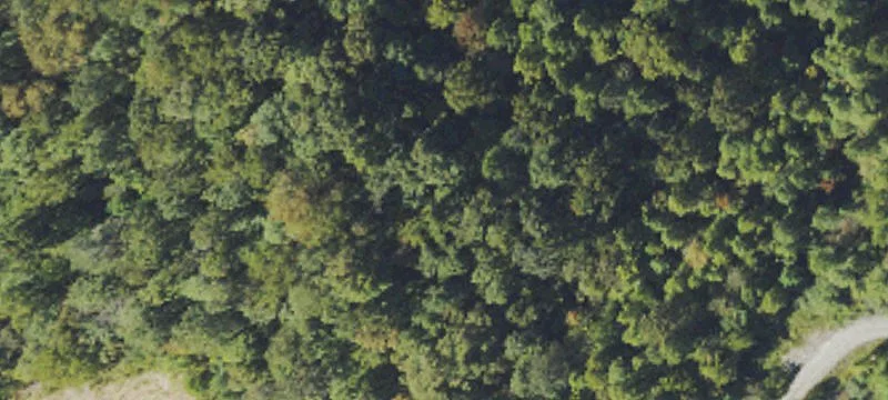 Raysal, WV 24879