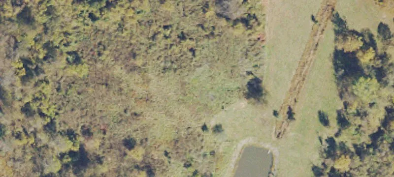 Hartley Dr