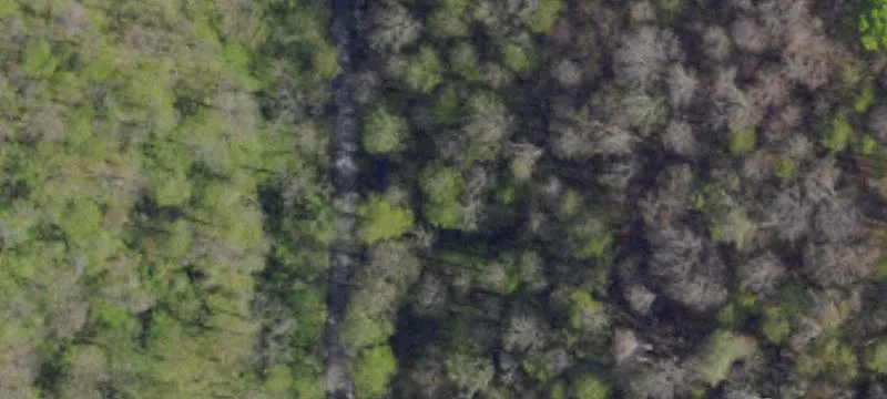 Pierce Run Rd