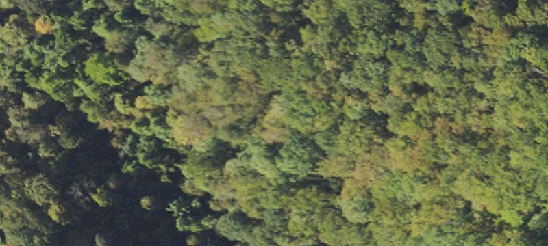 Welch, WV 24801