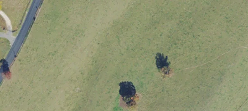 Lahmansville, WV 26731