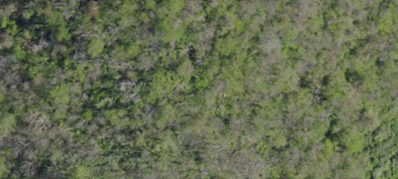 Pierce Run Rd