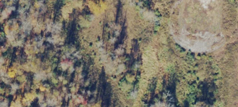 Jacksonburg, WV 26377