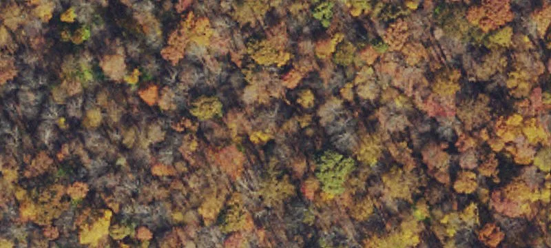 Terra Alta, WV 26764