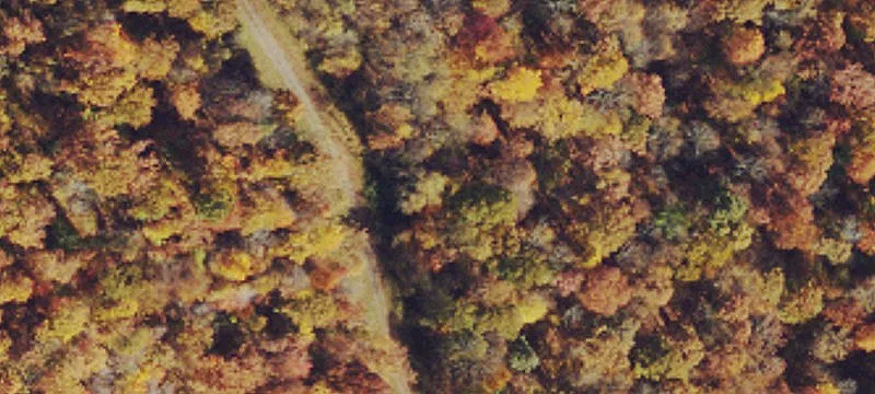Nallen, WV 26680