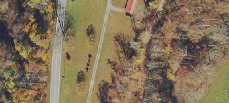 Parsons, WV 26287