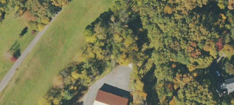 Elkins, WV 26241