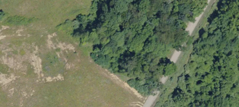Lewis Rd