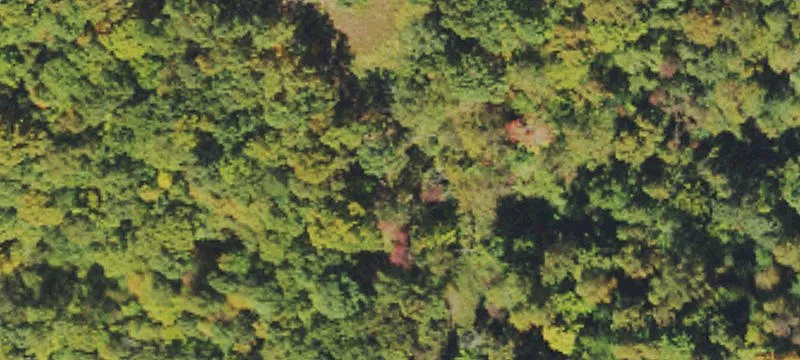 Sovine Rd, WV