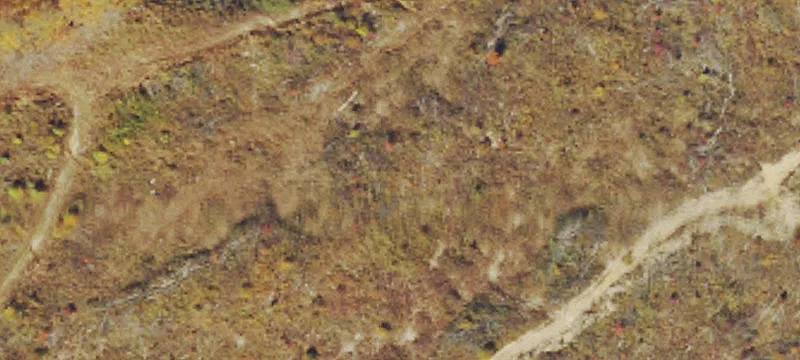 Moatsville, WV 26405