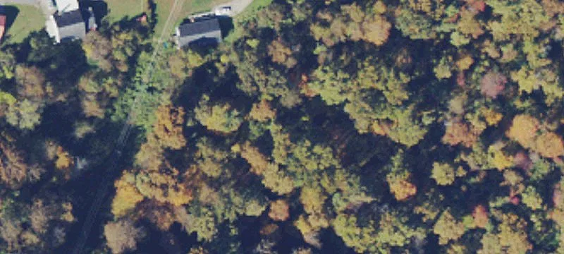 Nr Tv Ln