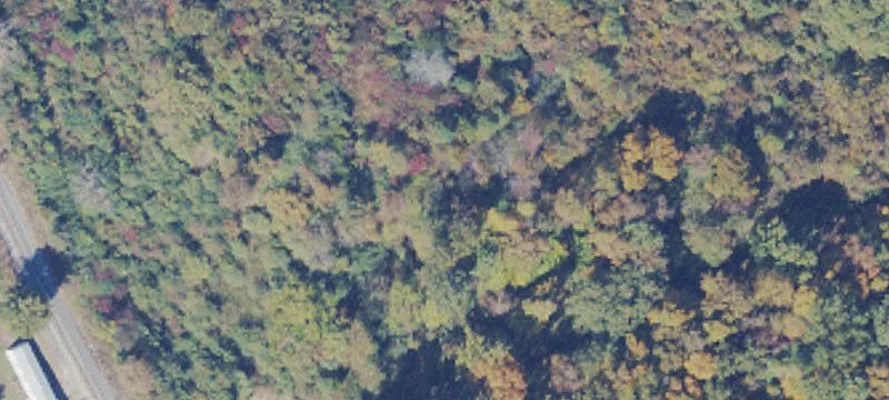 Gauley