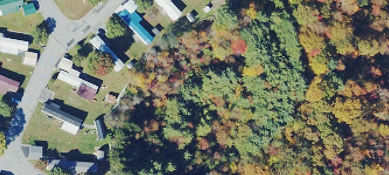 104 Mtn Ash Dr