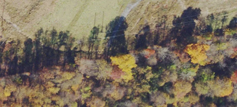 Jacksonburg, WV 26377
