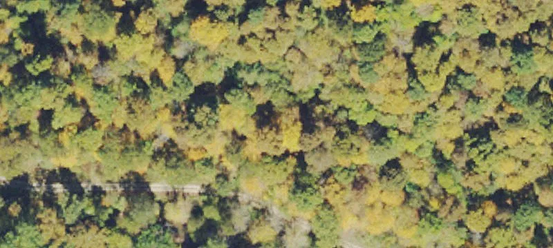 Old Town Campground Rd