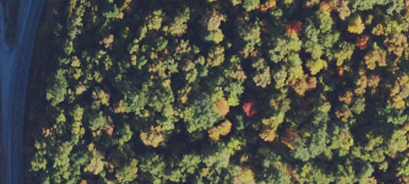 Lizemores, WV 25125