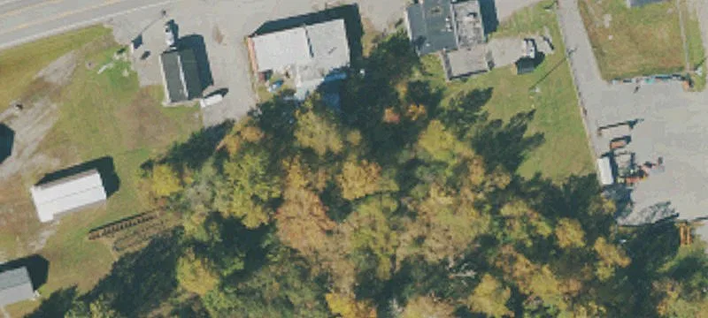 Elkins, WV 26241