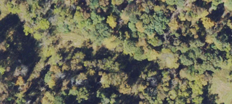 Old Country Rd
