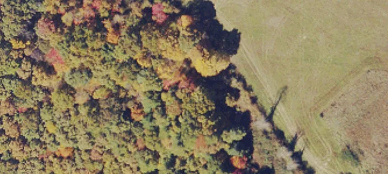 401 Old Dairy Rd
