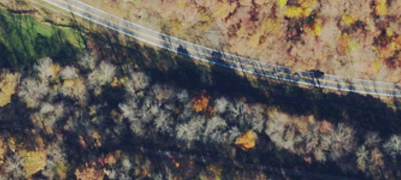Us Rte 50