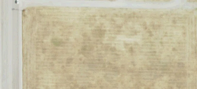 Afton, WY 83110