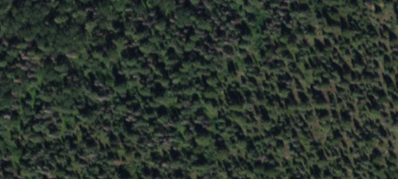 Hog Park Rd