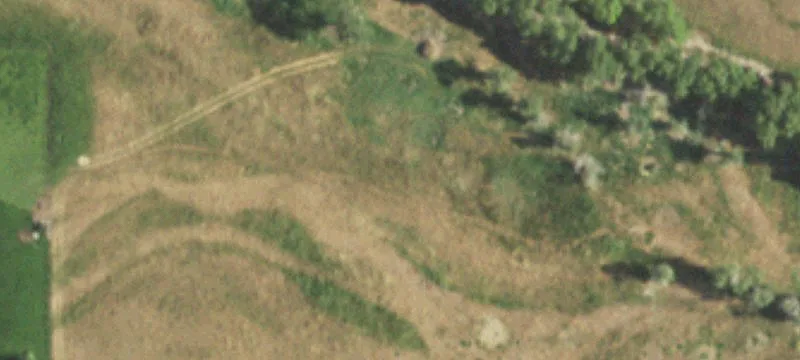 3570 State Hwy 241