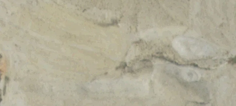 Lovell, WY 82431