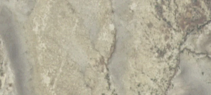 Shell, WY 82441