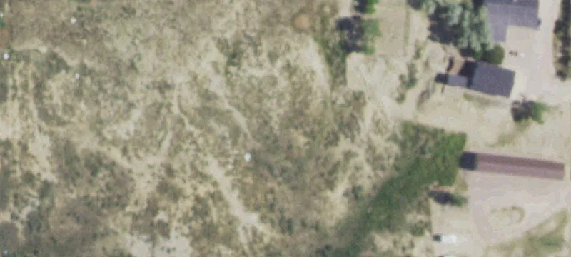 10 Darwin St