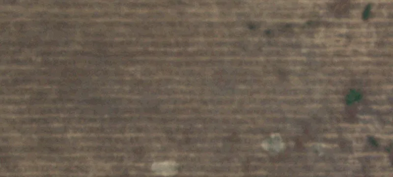 Paintbrush Ln