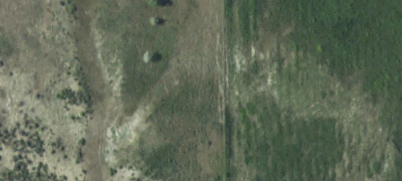 45 Arkansas Rose Rd