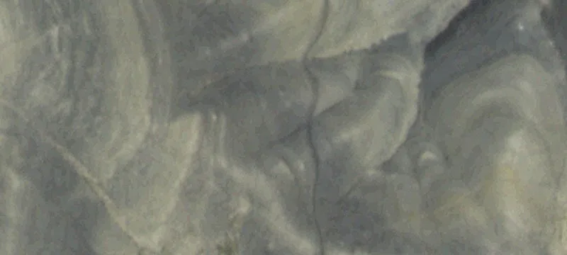Lovell, WY 82431