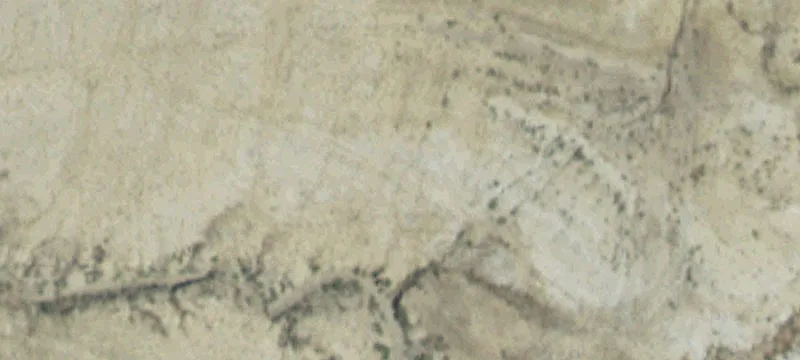 Lovell, WY 82431