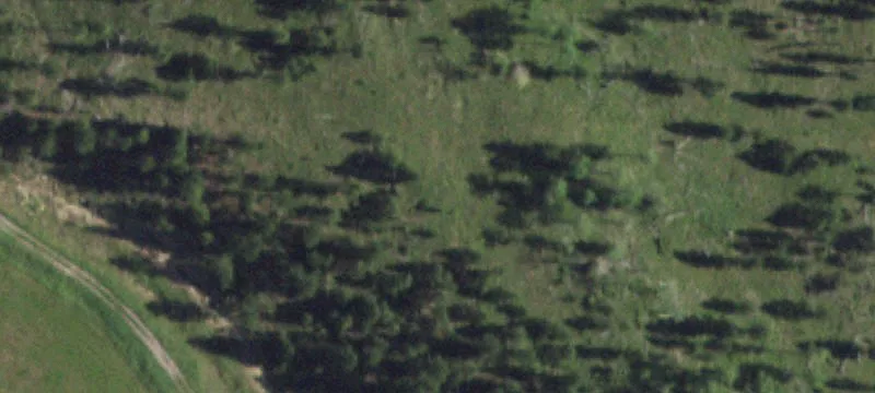 25380 Us Hwy 85
