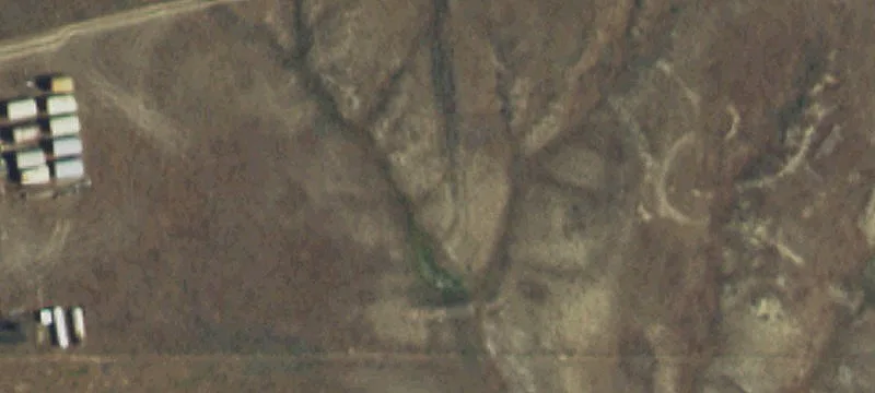 Cactus Dr