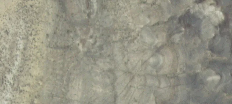 Shell, WY 82441