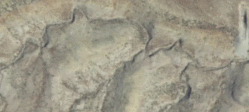 Shell, WY 82441