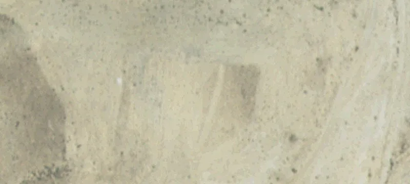 Lovell, WY 82431