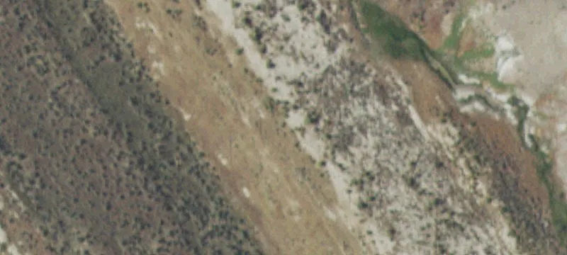 Wild Horse Hl