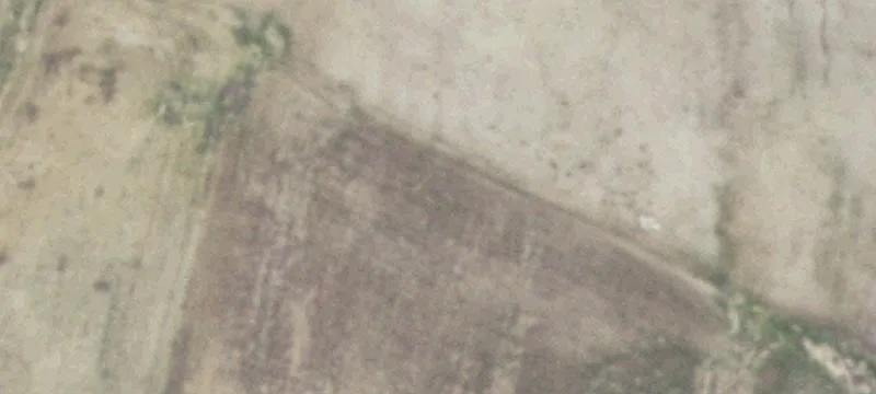 State Hwy 59