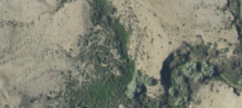 Lovell, WY 82431