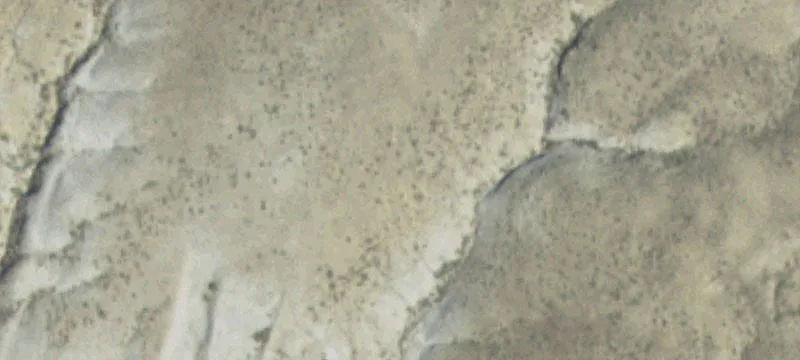 Shell, WY 82441
